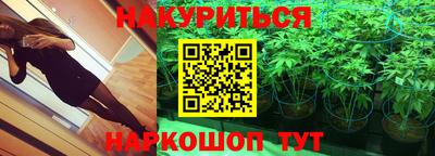a pvp Свободный