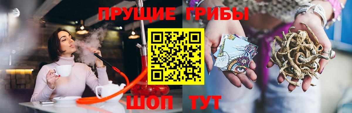 Галлюциногенные грибы ЛСД Петрозаводск
